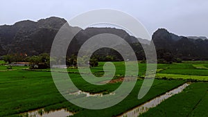 Tam Coc Bich Dong aerial view rice field on Ngo Dong, Ninh Binh, Viet Nam