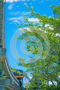 Tama Monorail and the fresh green photo
