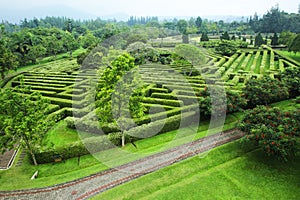 Taman Bunga Nusantara, Labyrinth garden green, cool and beautiful scenery in Cianjur , West Java, Indonesia photo