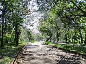 The Taman Dayu the most beautiful scenery dayu garden