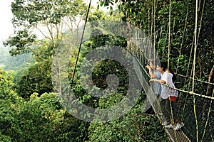 Taman Negara Canopy Walk