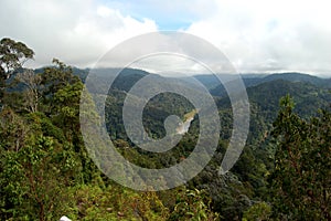 Taman Negara, jungle-view, Malaysia