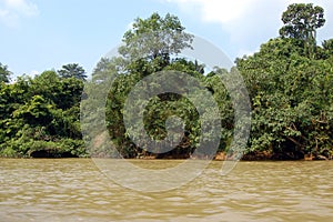 Taman Negara - River view photo