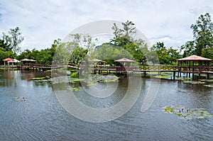 Taman Rekreasi Tasik Melati, Perlis, Malaysia