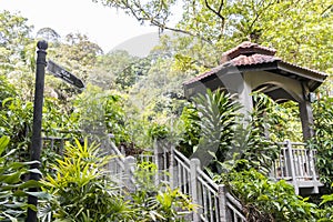 Taman Rusa. Perdana Botanical Gardens. Lake Gardens in Kuala Lumpur