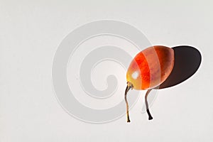 Tamarillho fruit with white background.