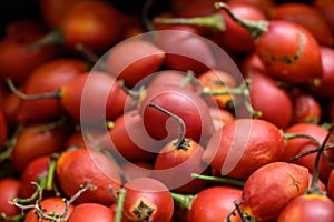 Tamarillo, egg-shaped edible fruit, also called tree tomato, tomate de arbol, tomate andino, tomate serrano, tomate de yuca photo