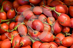 Tamarillo, egg-shaped edible fruit, also called tree tomato, tomate de arbol, tomate andino, tomate serrano, tomate de yuca photo