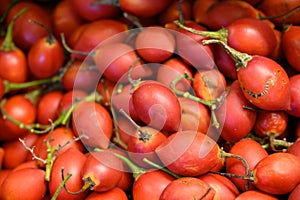 Tamarillo, egg-shaped edible fruit, also called tree tomato, tomate de arbol, tomate andino, tomate serrano, tomate de yuca