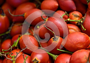 Tamarillo, egg-shaped edible fruit, also called tree tomato, tomate de arbol, tomate andino, tomate serrano, tomate de yuca photo