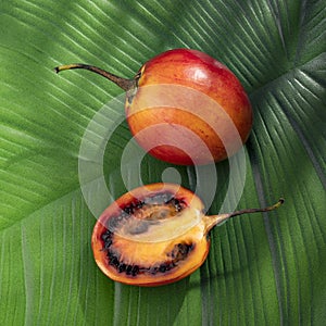 Tamarillo graft blackberry fresh ripe organic - Solanum betaceum