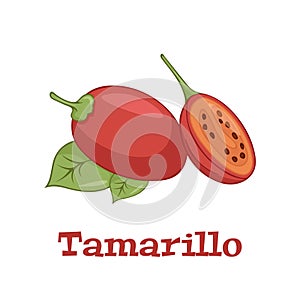 Tamarillo or Solanum betaceum, isolated on white background vector illustration.