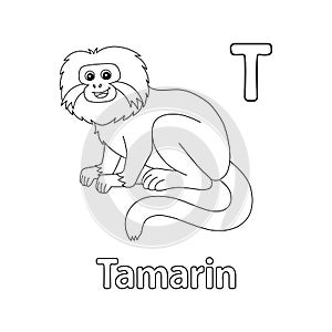 Tamarin Animal Alphabet ABC Isolated Coloring T