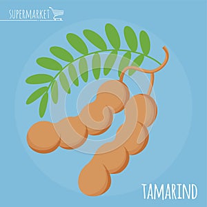 Tamarind flat design vector icon