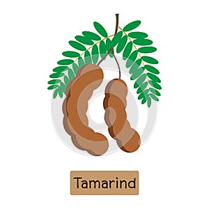 tamarind fruit with tamarind sauce