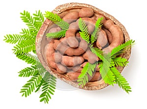 Tamarind fruits and fresh leaves isolatd on the white background, top view