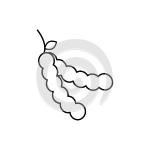 Tamarind icon flat line symbol set