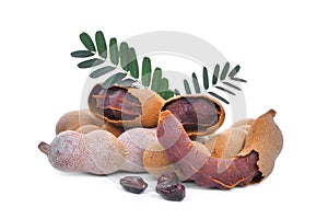 Tamarind with leaves, tropical fruit isolated on white