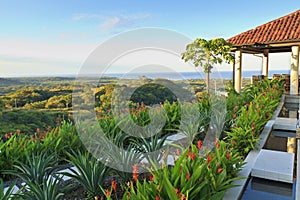 Tamarindo Villa and Coconut Tree