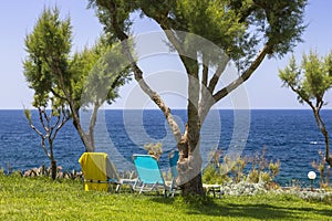 Tamarix trees and Mediterranean sea on a background. Crete