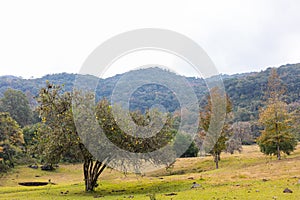 Tamaulipas Landscapes