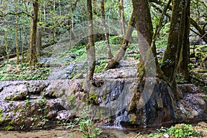 Tamaulipas Landscapes