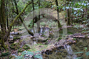 Tamaulipas Landscapes photo