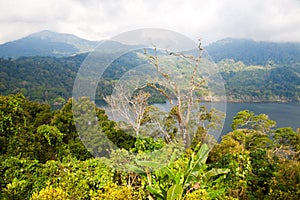 Tamblingan Lake photo