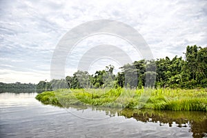 Tambopata Province Outdoors