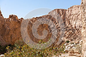 Tamerza canyon