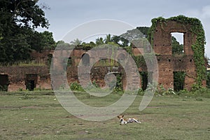 Tamluk, Midnapur, West Bengal/India - November 18, 2017: A ruins of the Pal dynasty in bengal