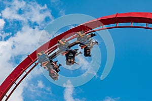 People having fun amazing Sheikra rollercoaster at Busch Gardens 8
