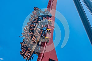 People having fun amazing Sheikra rollercoaster at Busch Gardens 6