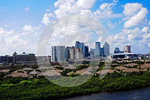 Tampa Florida Skyline