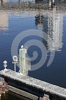 Tampa Florida Skyline Reflection