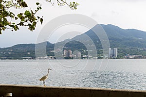 Tamsui river in Taiwan