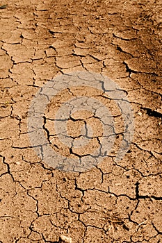 Tan Cracked Ground, Dirt or Mud