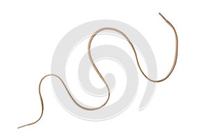 Tan Shoelace curved - isolated