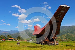 Tana Toraja, Sulawesi, Indonesia photo