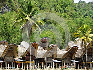 Tana Toraja village, tongkonan houses and buildings. Kete Kesu, Rantepao, Sulawesi, Indonesia