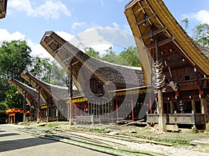 Tana Toraja village, tongkonan houses and buildings. Kete Kesu, Rantepao, Sulawesi, Indonesia