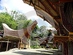 Tana Toraja village, tongkonan houses and buildings. Kete Kesu, Rantepao, Sulawesi, Indonesia