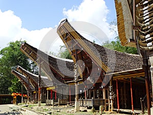 Tana Toraja village, tongkonan houses and buildings. Kete Kesu, Rantepao, Sulawesi, Indonesia