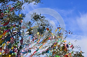 Tanabata festival decoration, Kyoto Japan.