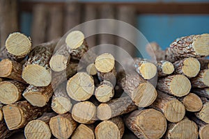 Tanaka, myanmar herbal cosmetic