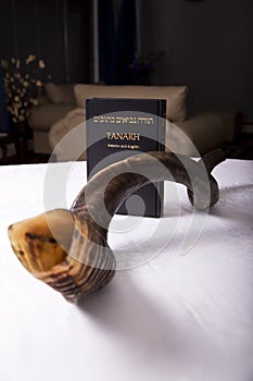 A Tanakh and shofar