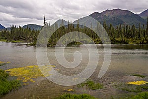 Tanana river in overcast summer day photo