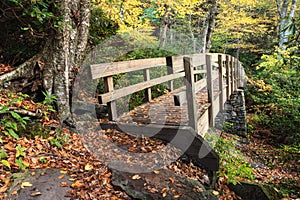 Tanawha Bridge in Autumn Blue Ridge Parkway NC photo