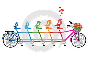 Tandem bicycle with bird family, vector