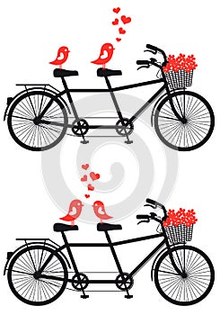 Tandem bicycle with love birds, vector